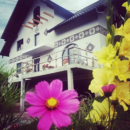 Ciocanesti Casa Aurelianaヴィラ エクステリア 写真