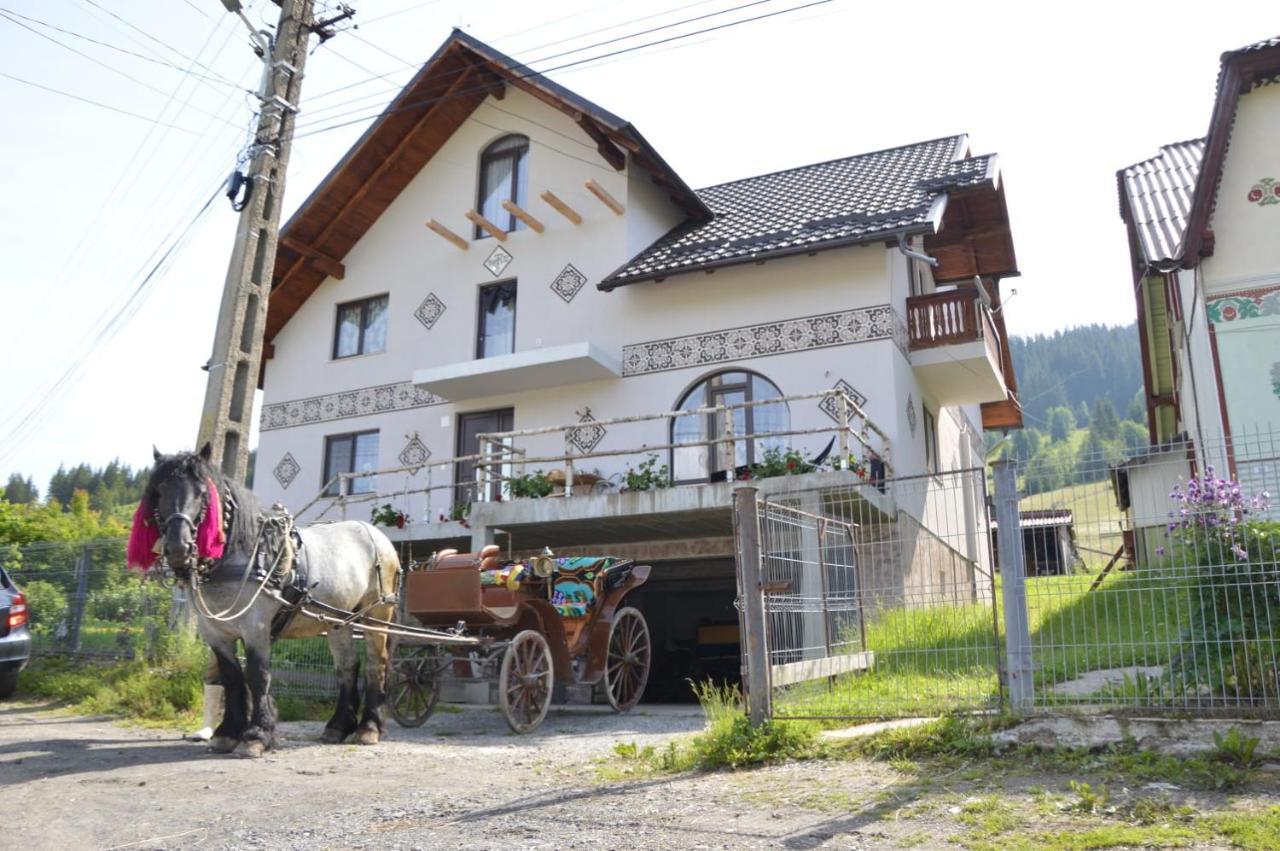 Ciocanesti Casa Aurelianaヴィラ エクステリア 写真