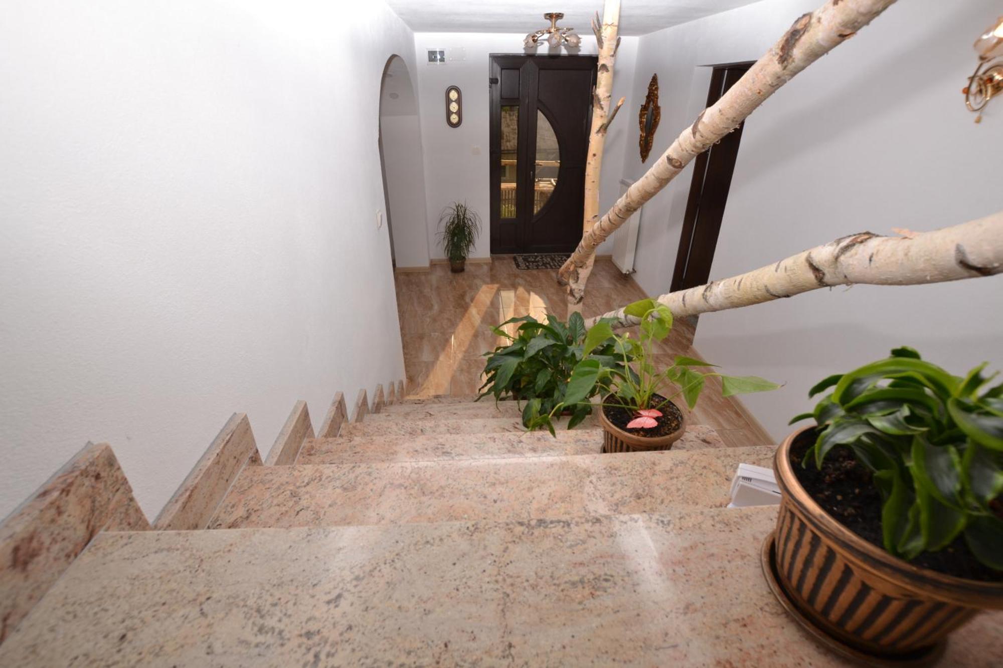 Ciocanesti Casa Aurelianaヴィラ エクステリア 写真